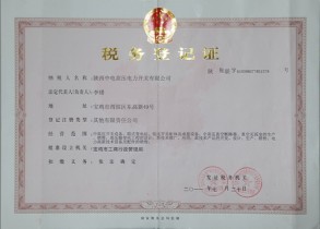 陕中电国税税务登记证